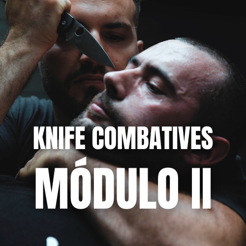 KSD Combatives Fundamentos Básicos (9)
